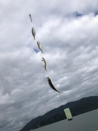 今回もアジアジアジアジアジアジアジアジアジ…