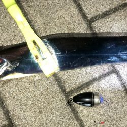 無風のシーサイドコスモ