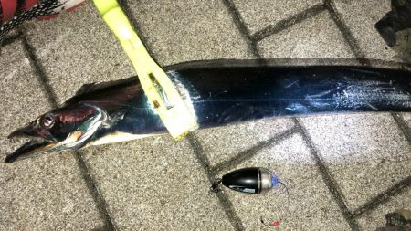 無風のシーサイドコスモ