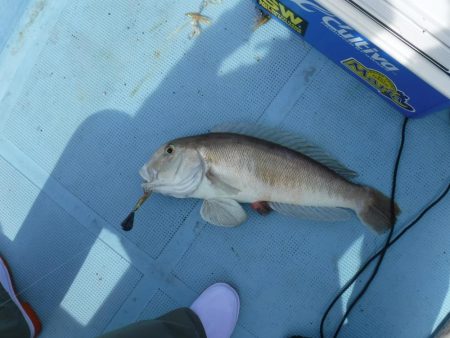 五目タイラバ その2