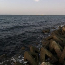 秋イカエギング