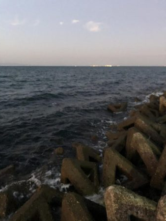 秋イカエギング