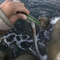 10月10日デイアオリ