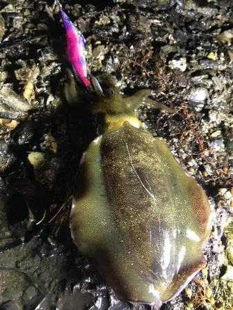 小雨の中４００とどかず