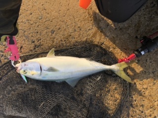 風強いし雨降るし・・・