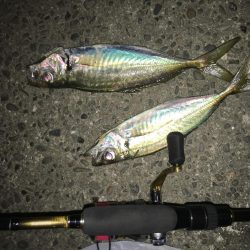 君のキャストもうシモリを超えないよ…これがファイナルカウター