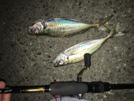 君のキャストもうシモリを超えないよ…これがファイナルカウター