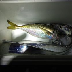 2日連続 息子と釣行