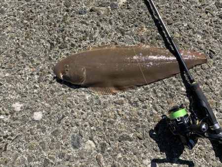 久しぶりのワームで