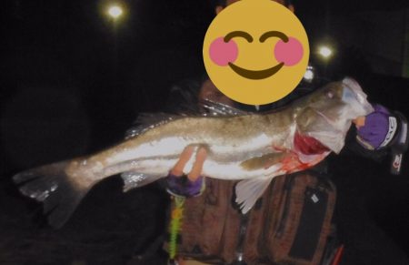 秋のハイシーズン調査