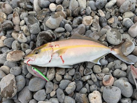 久しぶりに連れました