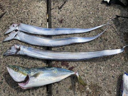 お久しぶりです。タチウオさん！！