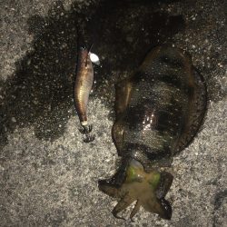 台風前に友達と行ってきました