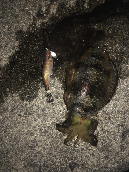 台風前に友達と行ってきました