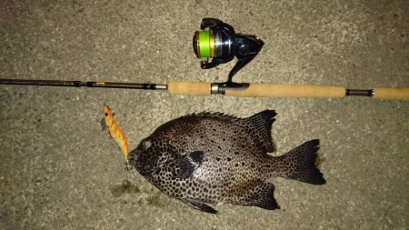 こんなのが釣れるのか！