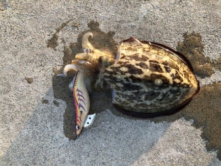 島根県のはずが…