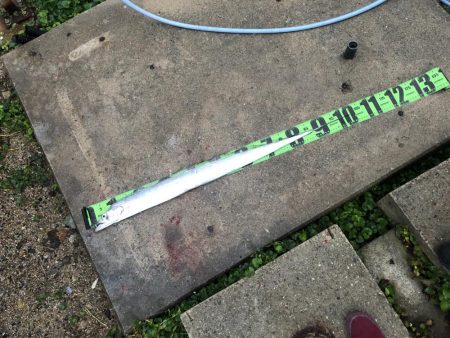 釣り大会に向けて