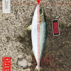 台風後神戸遠征