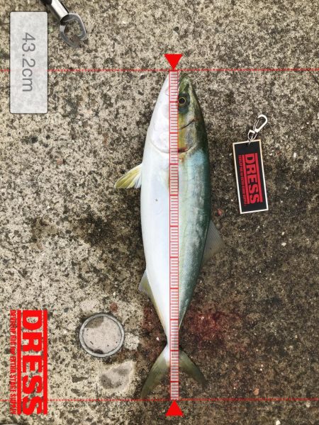 台風後神戸遠征