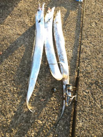 釣り師蒼君やらかしました。（笑）