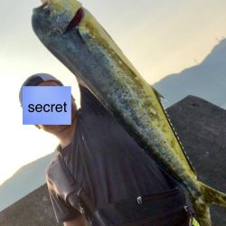 エリア鹿児島ですが奄美です2