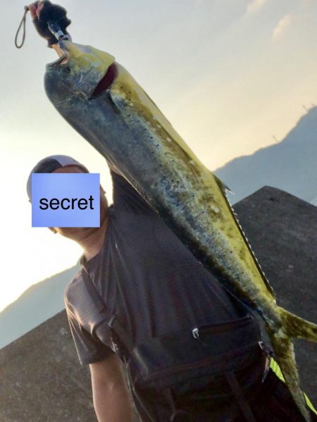 エリア鹿児島ですが奄美です2