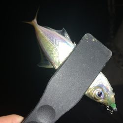 アーバンサイドアジング