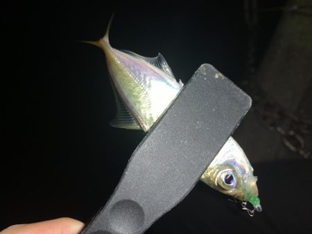 アーバンサイドアジング