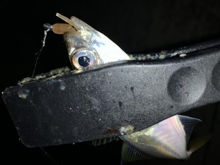 アーバンサイドアジング