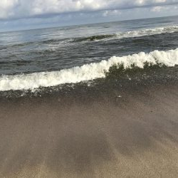 久しぶりに釣り日和