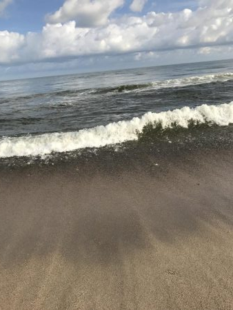 久しぶりに釣り日和