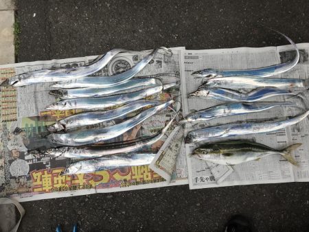 タチウオ朝マズメで爆釣