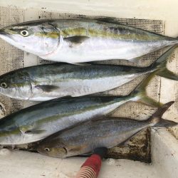 あたりは多いが