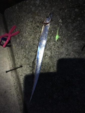 ２日前と同じ場所で