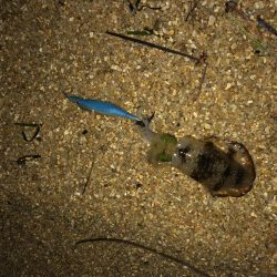 なかなか厳しい〜