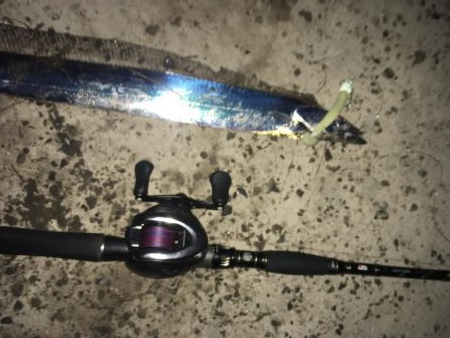 ガツン！が楽しい