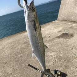 ウネリきつい中で