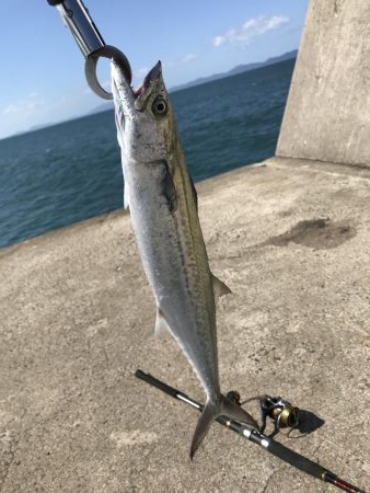 ウネリきつい中で