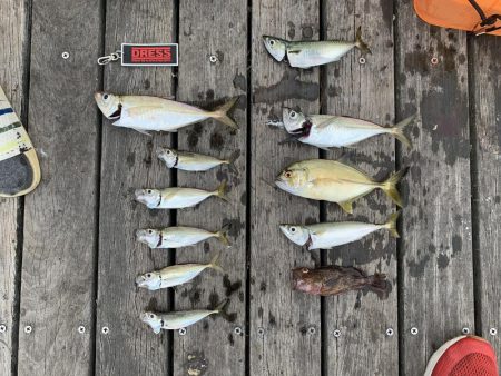 あじがでかい！