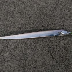 ナイスフィッシュ！