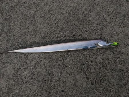 ナイスフィッシュ！