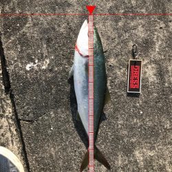 久しぶりの渡船