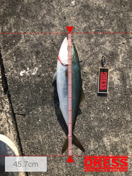 久しぶりの渡船