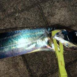 台風前のシーサイドコスモ