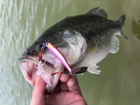 台風後のドリームレイク（管理釣り場）釣行