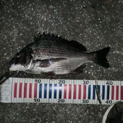 少ないチャンス