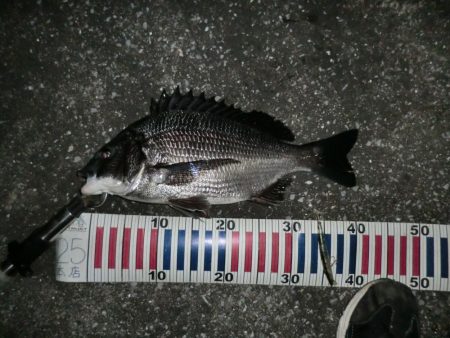 少ないチャンス