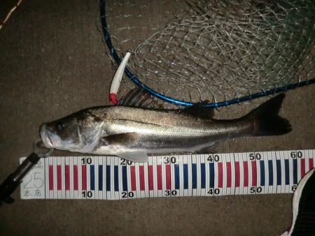 秋の深まりと共に