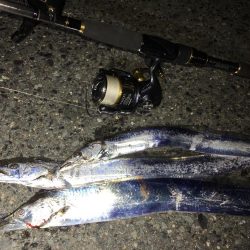 ドジョウテンヤ　3回目