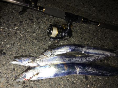 ドジョウテンヤ　3回目